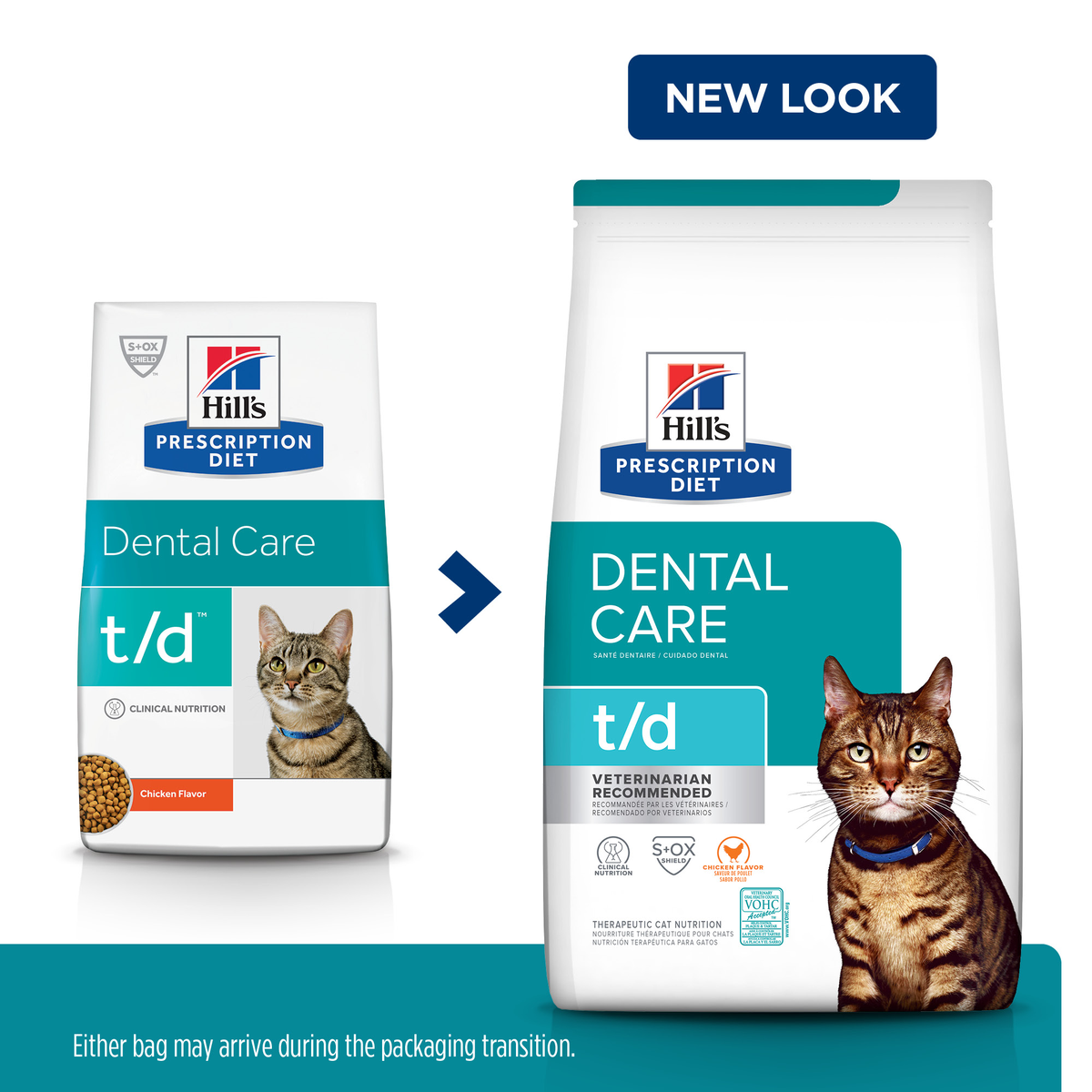 Hill's prescription diet 2025 dental care cat